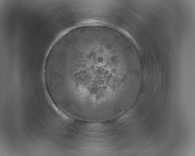 X0000074001421200609061012