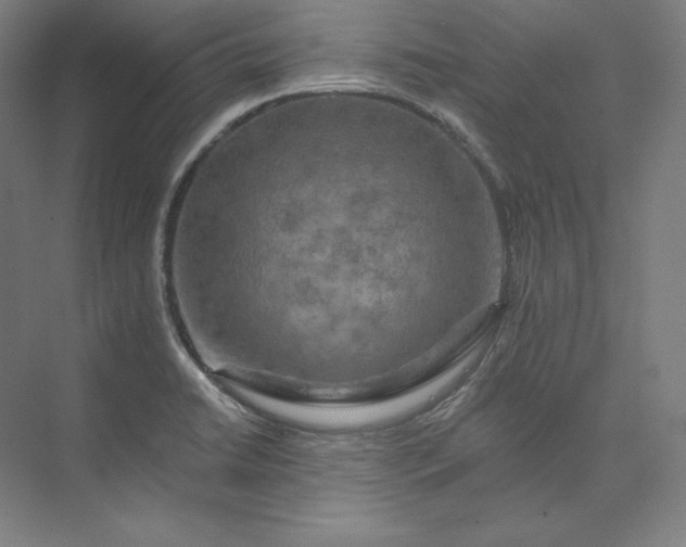 X0000074001422200609061012