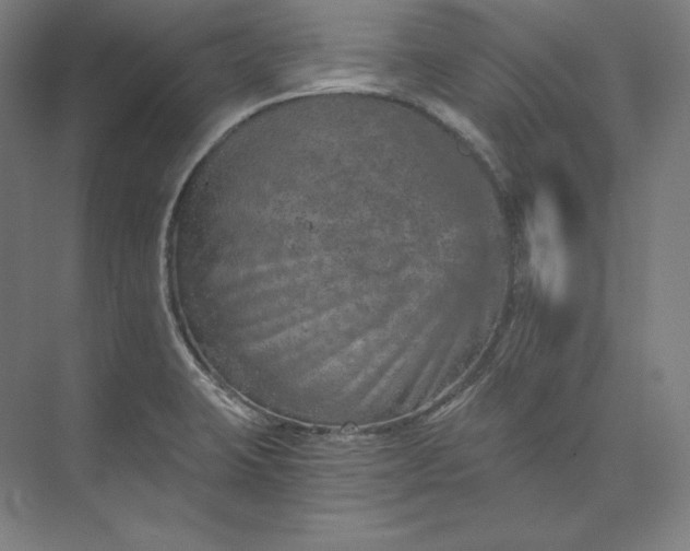 X0000074001423200609061012