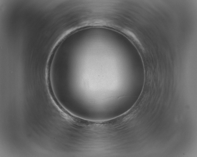 X0000074001424200609061012