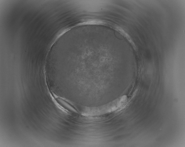 X0000074001425200609061012