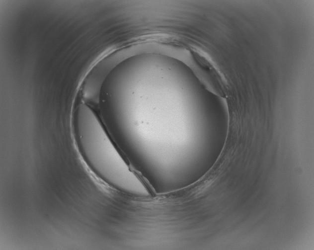 X0000074001426200609061012