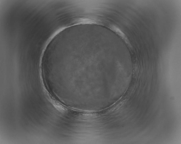 X0000074001427200609061012