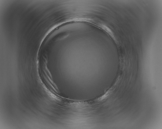 X0000074001428200609061012