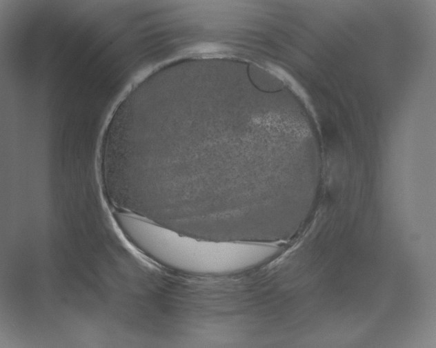 X0000074001429200609061012