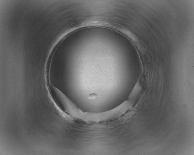 X0000074001430200609061012