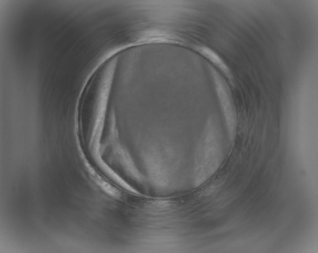 X0000074001431200609061012