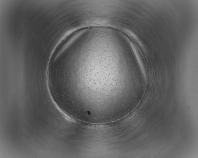 X0000074001432200609061012