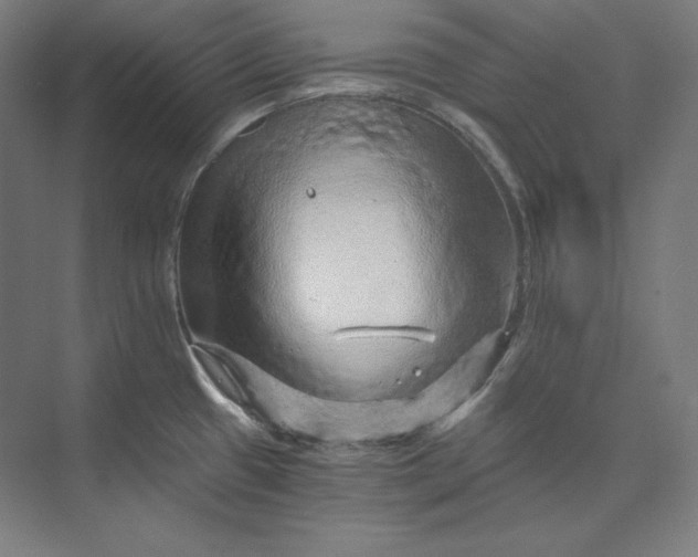 X0000074001433200609061012