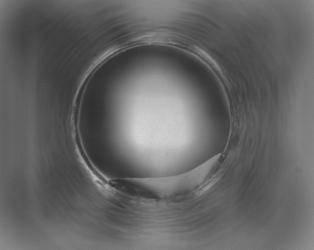 X0000074001434200609061012