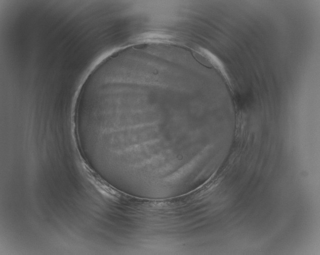 X0000074001435200609061012