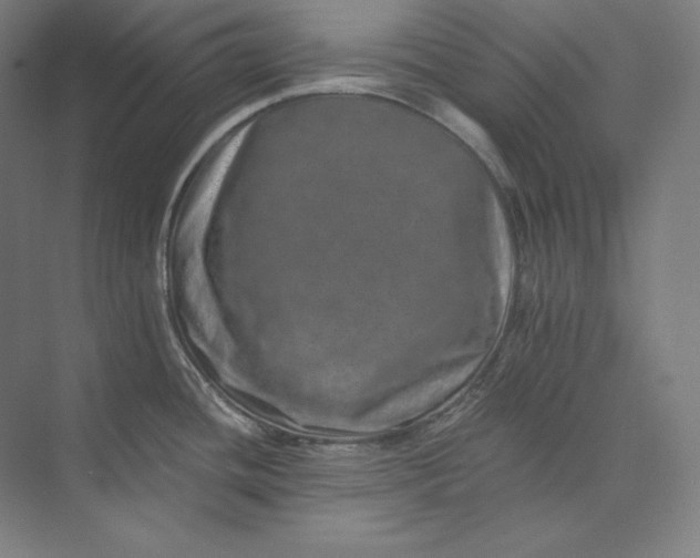 X0000074001436200609061012