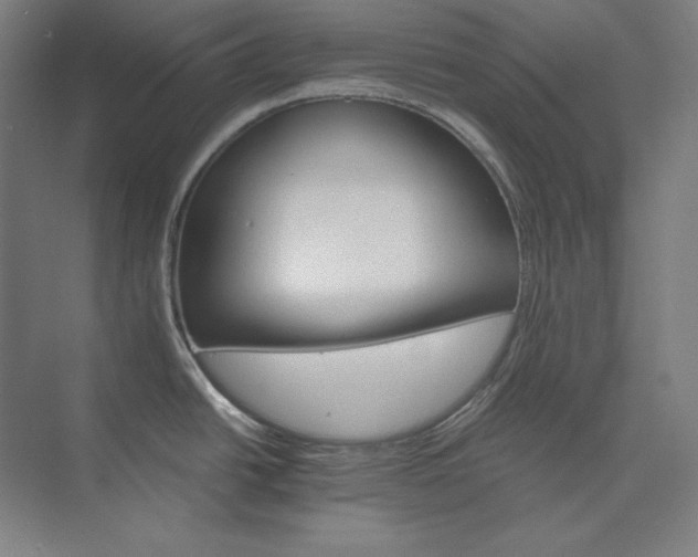 X0000074001438200609061012