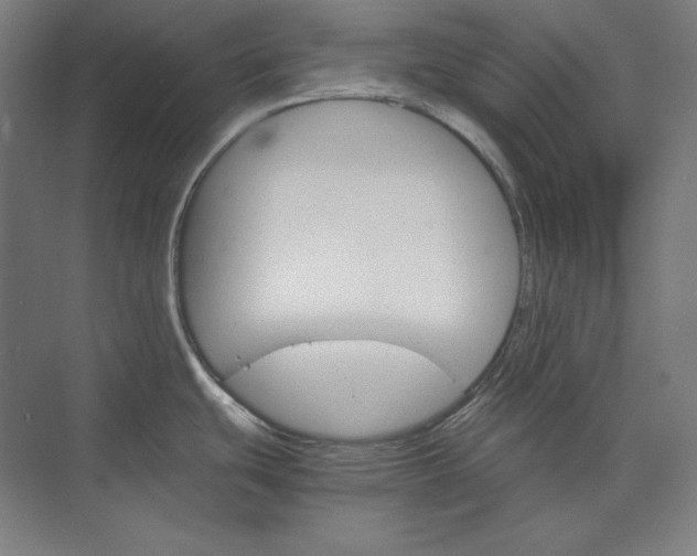 X0000074001439200609061012