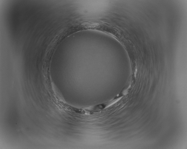 X0000074001441200609061011