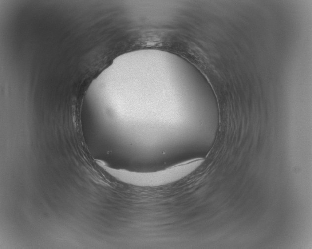 X0000074001442200609061011