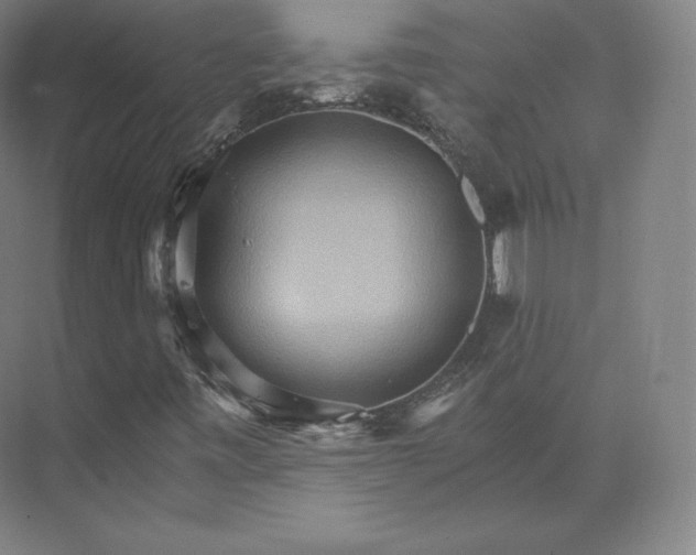 X0000074001443200609061011