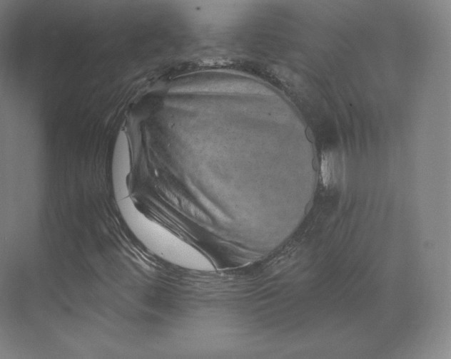 X0000074001444200609061011