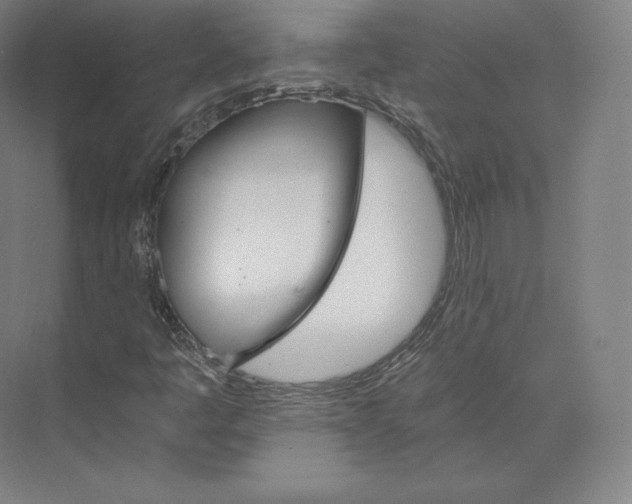 X0000074001445200609061011