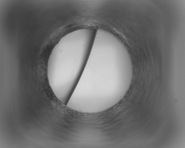 X0000074001447200609061011