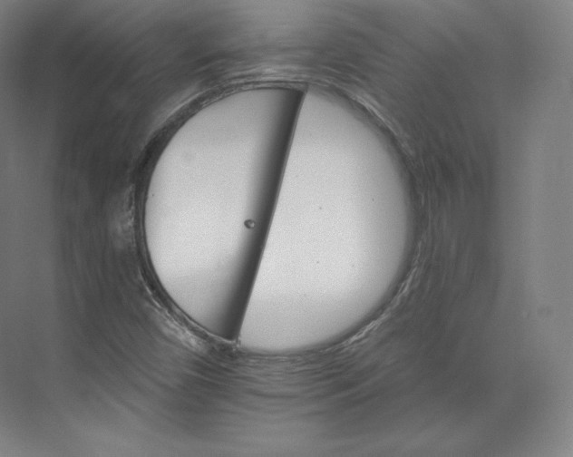 X0000074001450200609061011