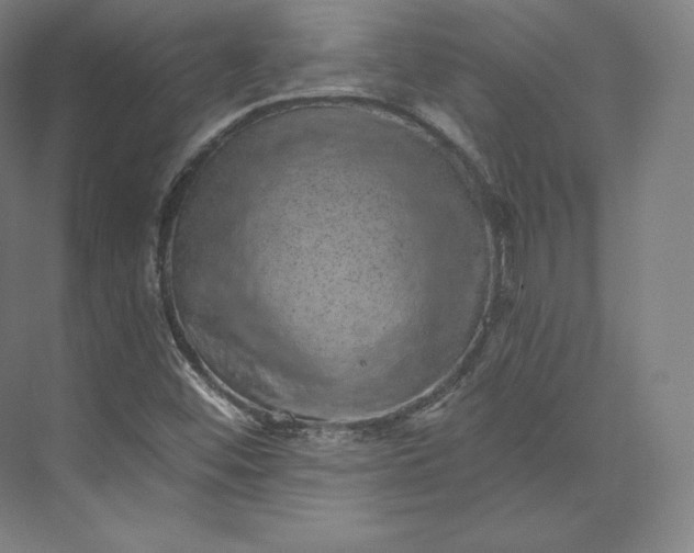 X0000074001452200609061011