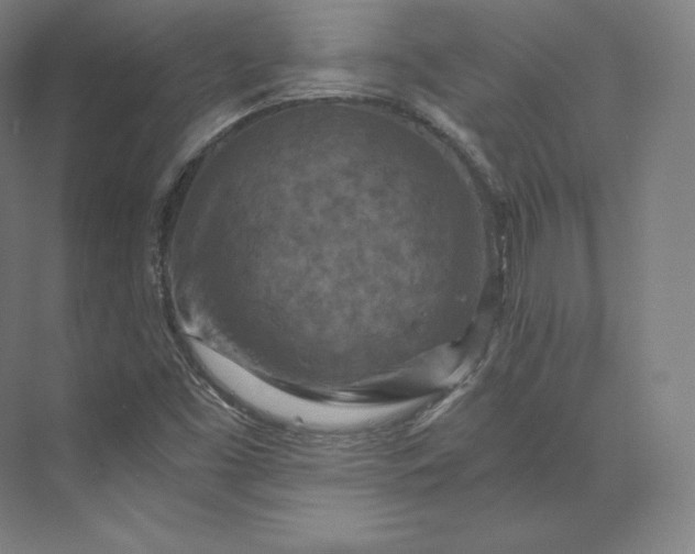 X0000074001453200609061011