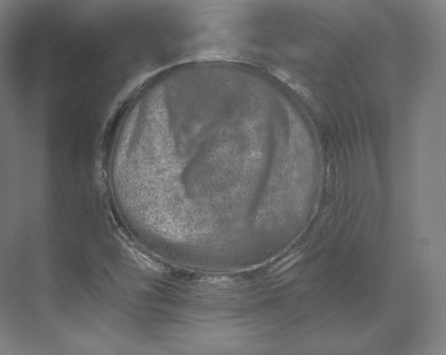 X0000074001454200609061011