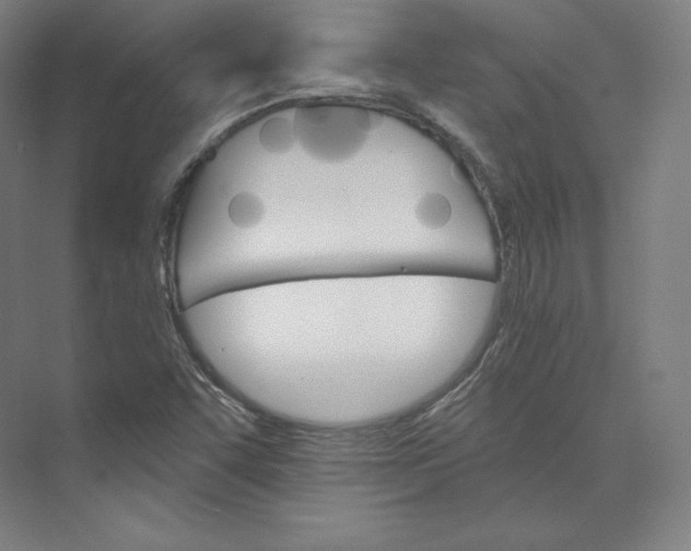 X0000074001455200609061011