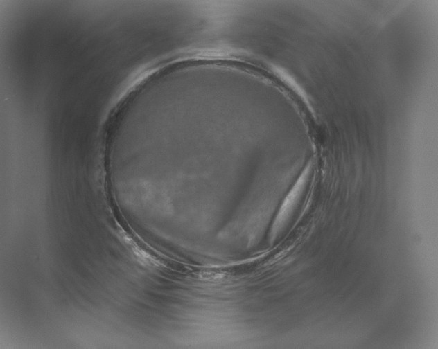 X0000074001456200609061011