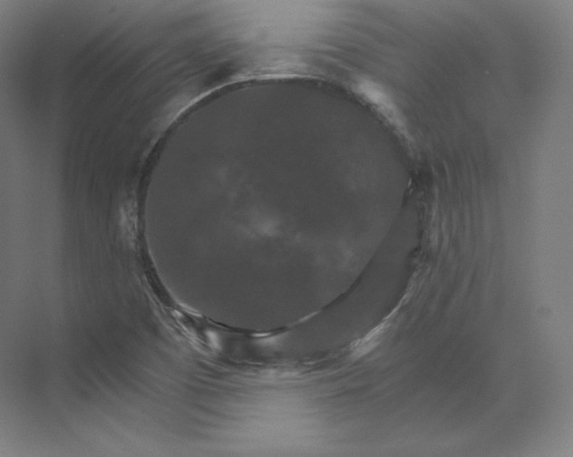 X0000074001457200609061011