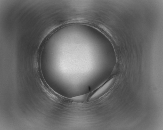 X0000074001458200609061011