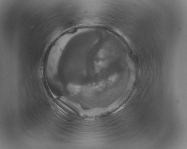 X0000074001459200609061011