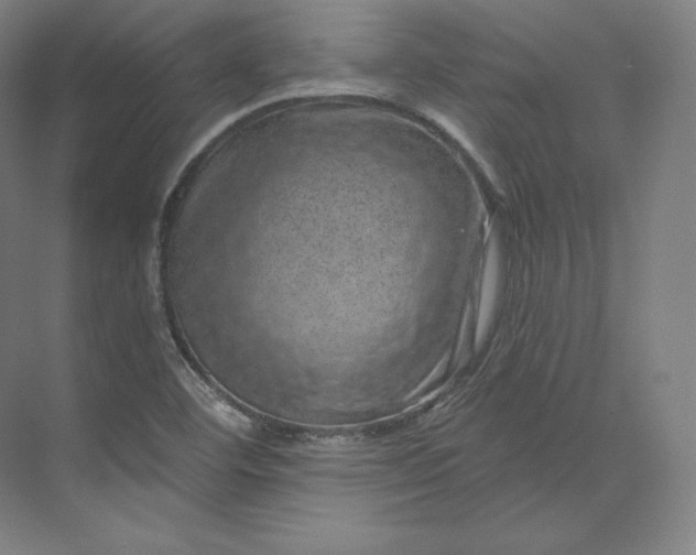 X0000074001460200609061011