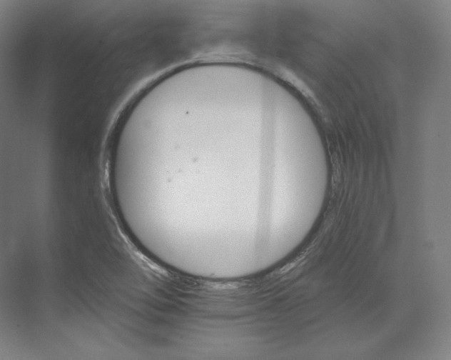 X0000074001462200609061011