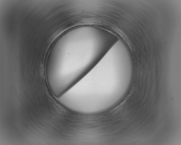 X0000074001465200609061011