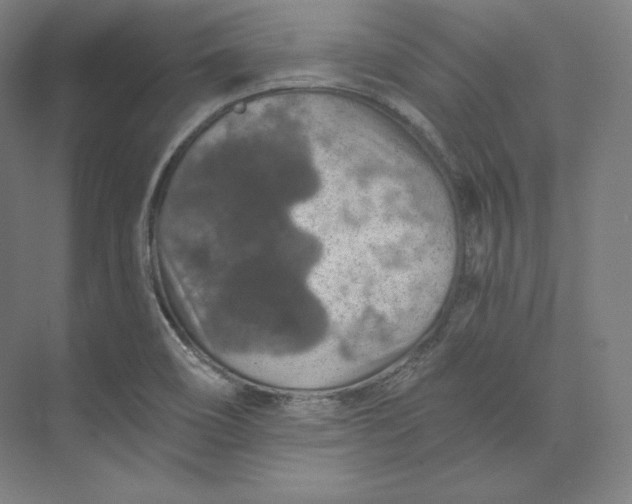 X0000074001466200609061011