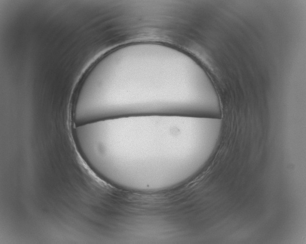 X0000074001468200609061011