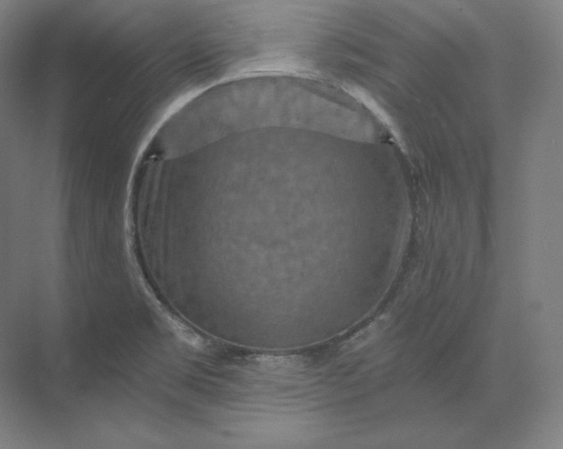 X0000074001469200609061011