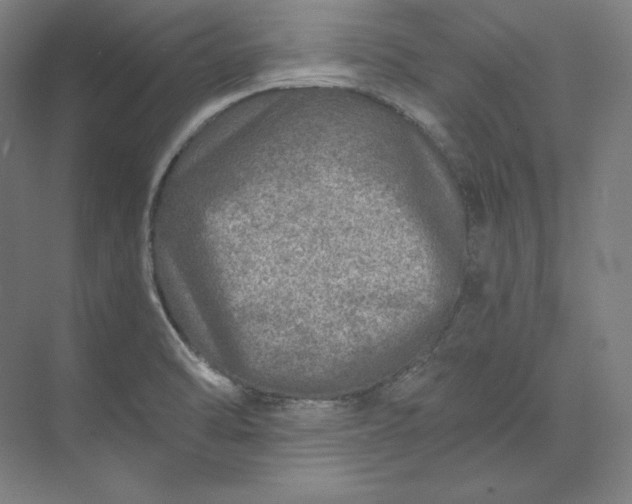 X0000074001470200609061011