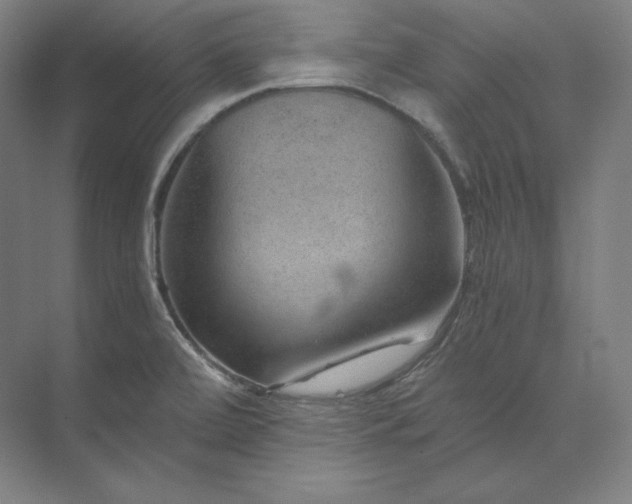 X0000074001472200609061011