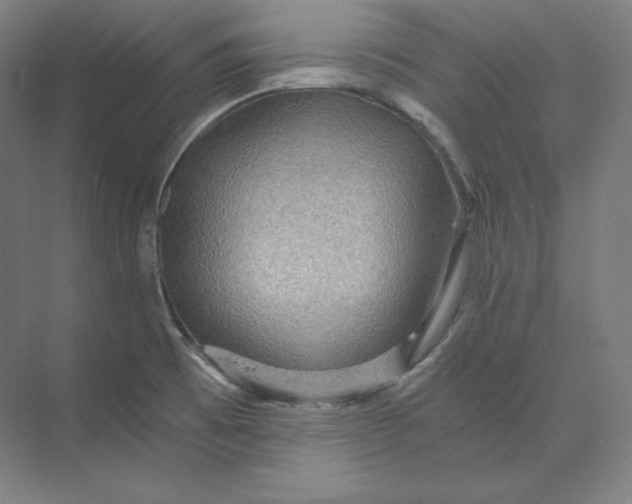 X0000074001473200609061011