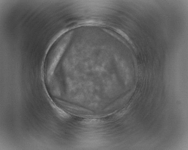 X0000074001474200609061011