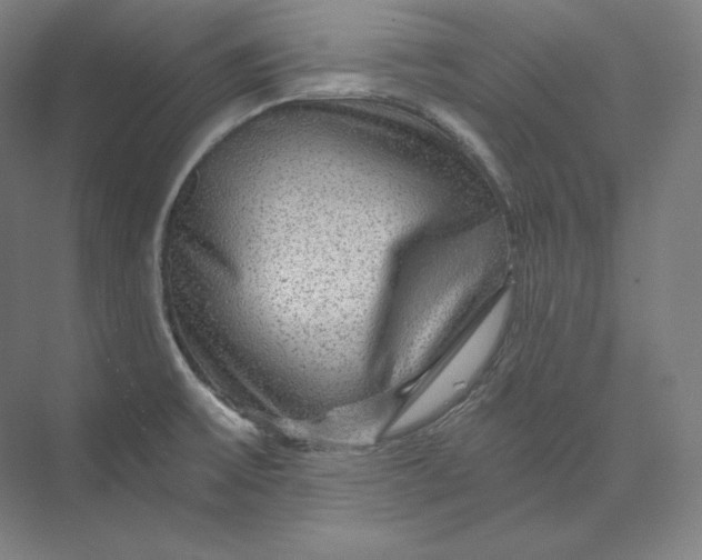 X0000074001475200609061011