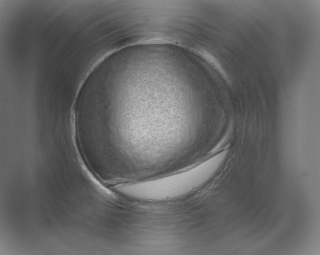 X0000074001476200609061011