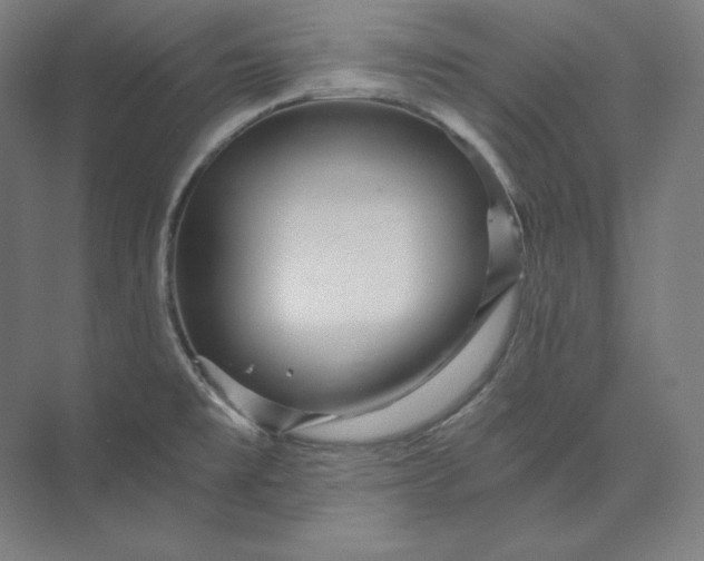 X0000074001477200609061011