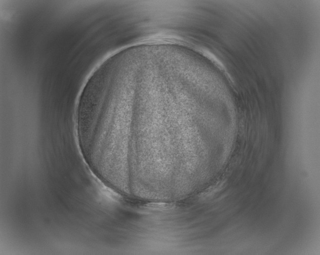 X0000074001478200609061011