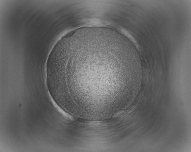 X0000074001479200609061011