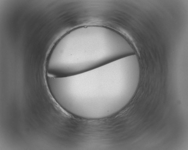 X0000074001480200609061011