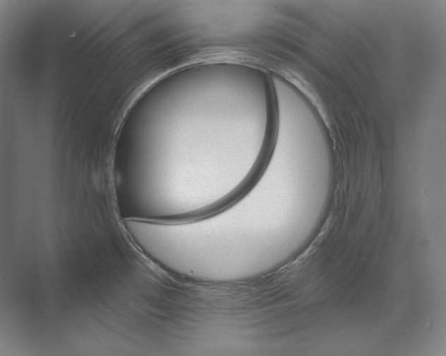 X0000074001481200609061011